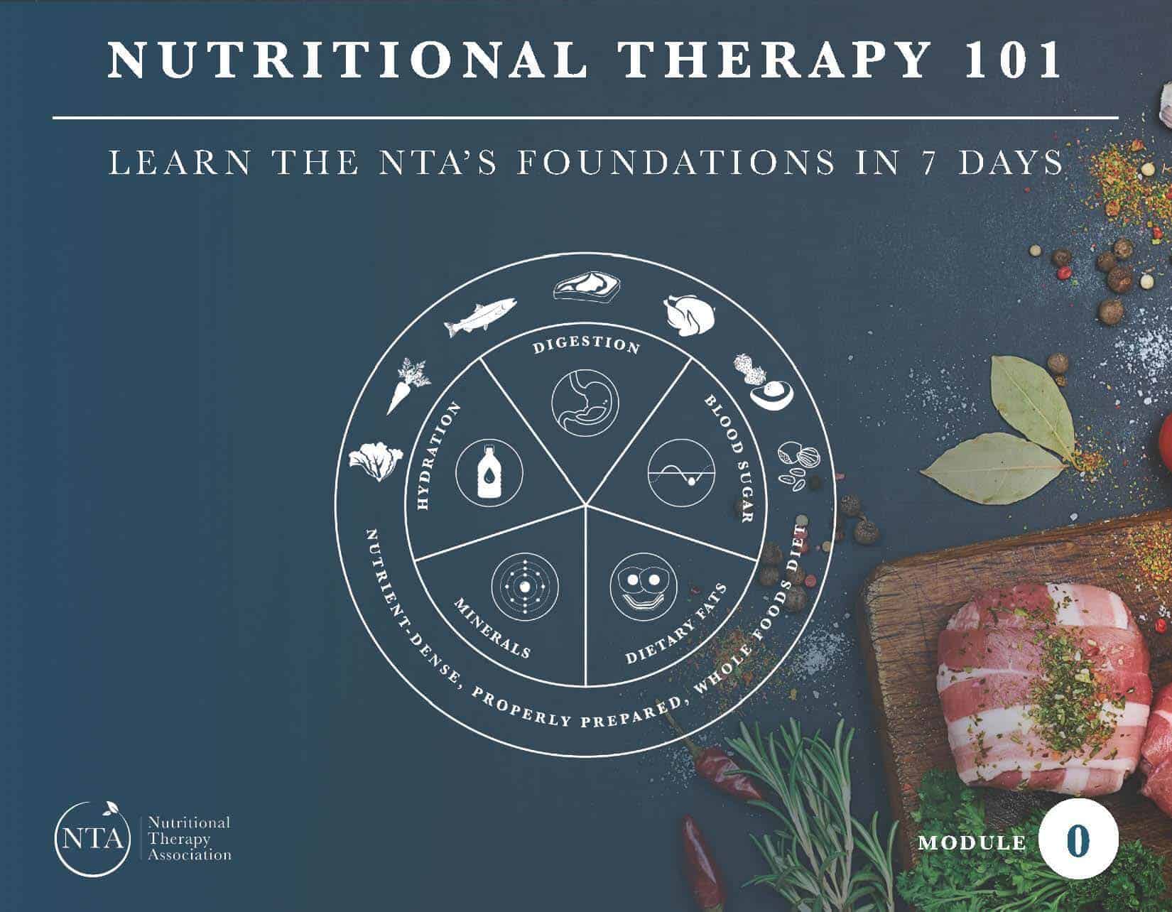 Image result for nutritional therapy association logo