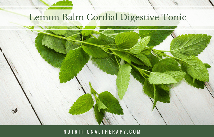 Recipe: Lemon Balm Cordial Digestive Tonic