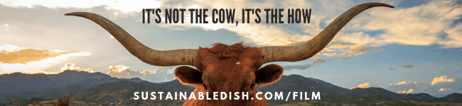 Email Banner Cow How