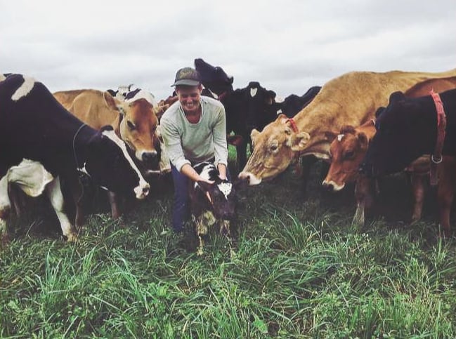 Jordan's Partner Sarah Welcoming A Baby Cow 2