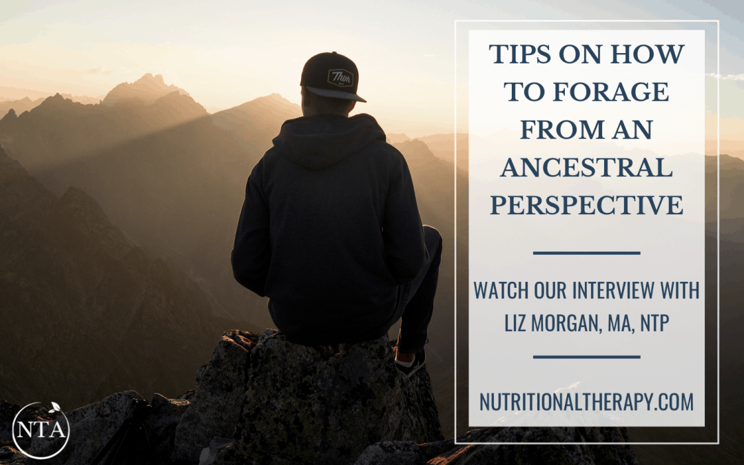 Tips on How to Forage from an Ancestral Perspective: Watch Our Interview with Liz Morgan, MA, NTP