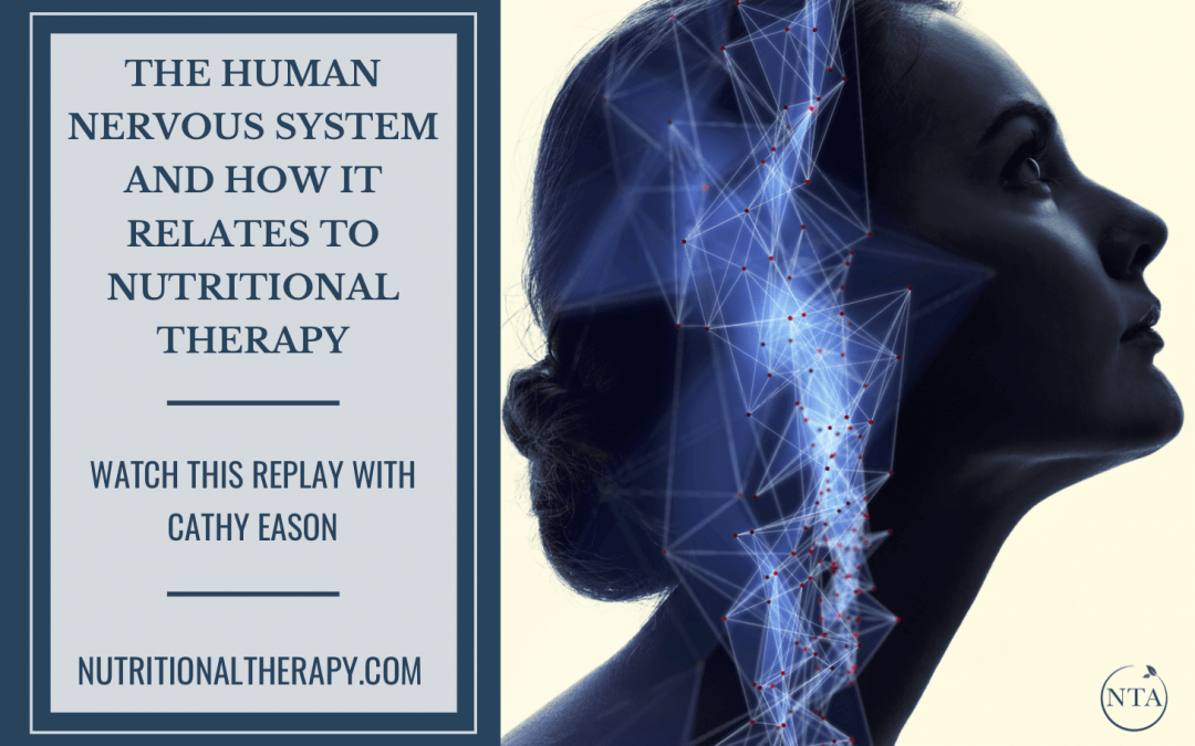 The Human Nervous System and How it Relates to Nutritional Therapy: Watch this Replay with Cathy Eason