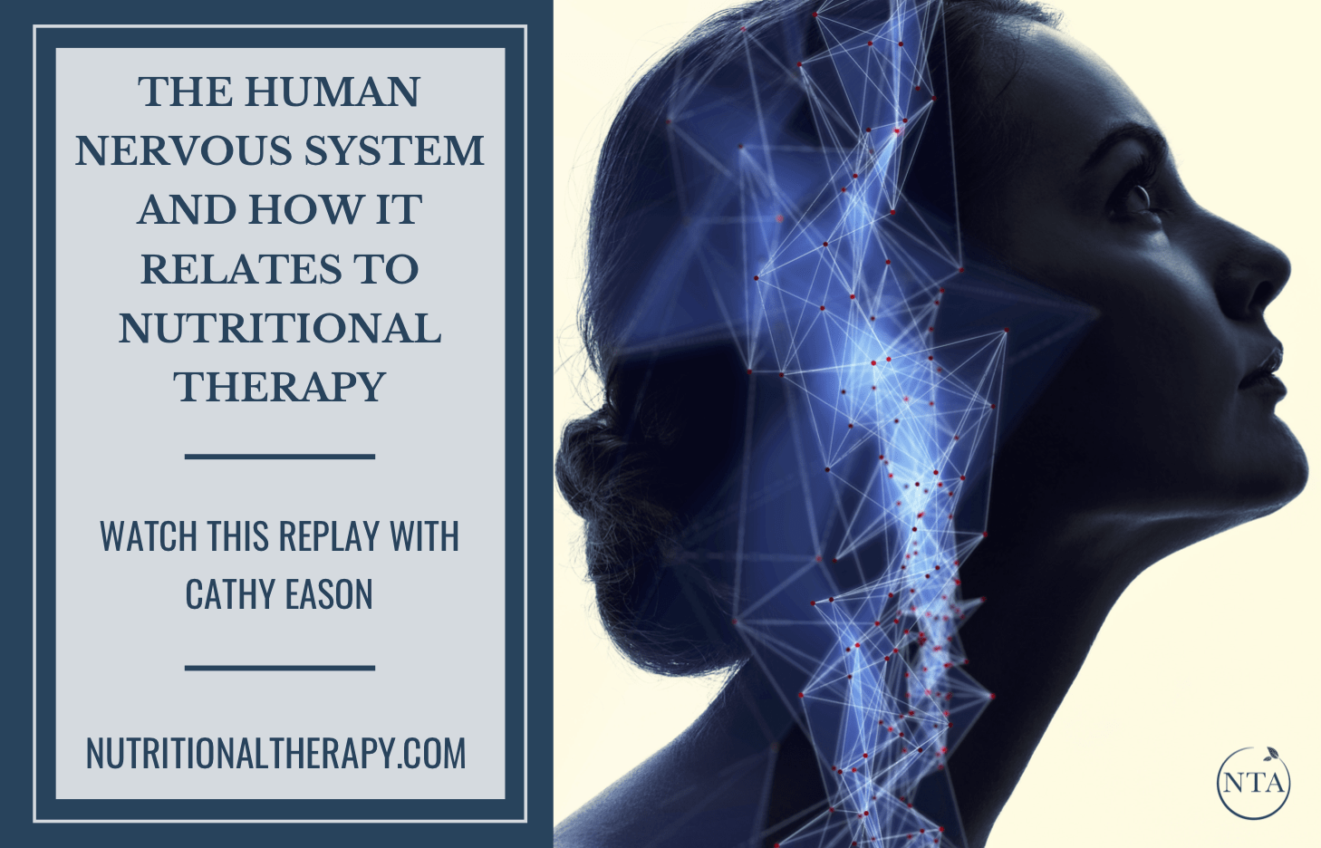 The Human Nervous System And How It Relates To Nutritional Therapy