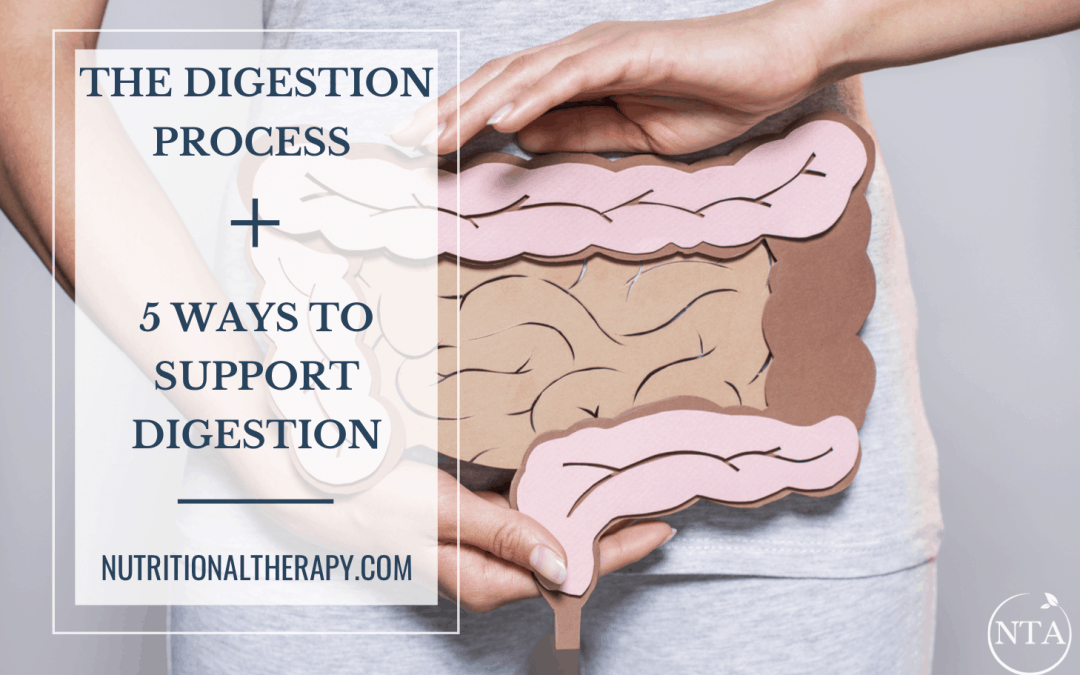 The Digestion Process + 5 Ways to Improve Digestion