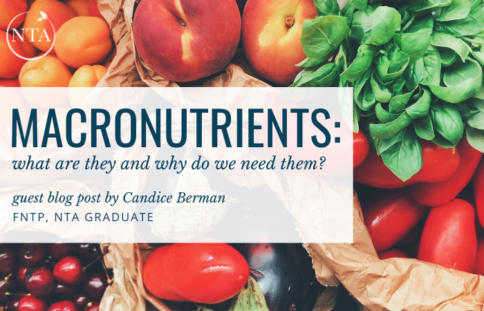 Macronutrients: What Are They and Why Do We Need Them?